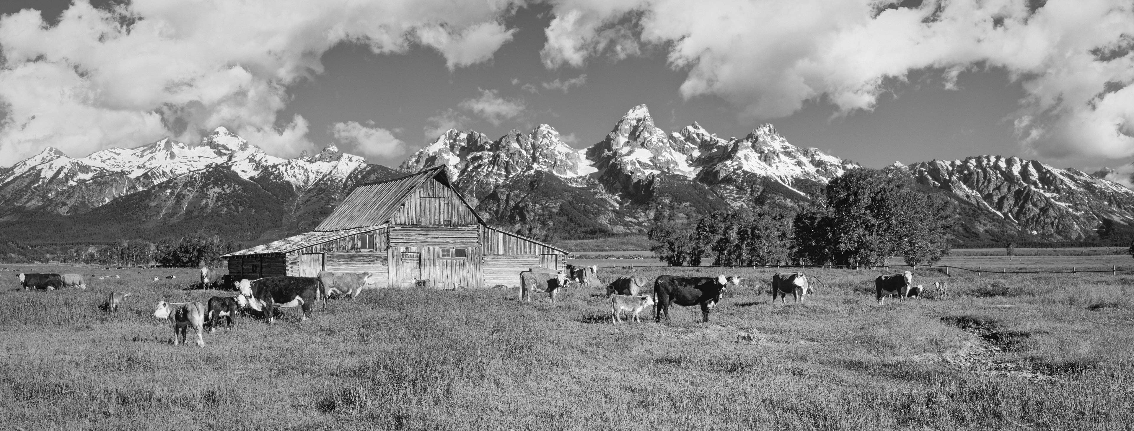 T.A. Moulton Barn, Mormon Row, Grand Teton National Park, Utah, USA (image 39767.clouds-BW)