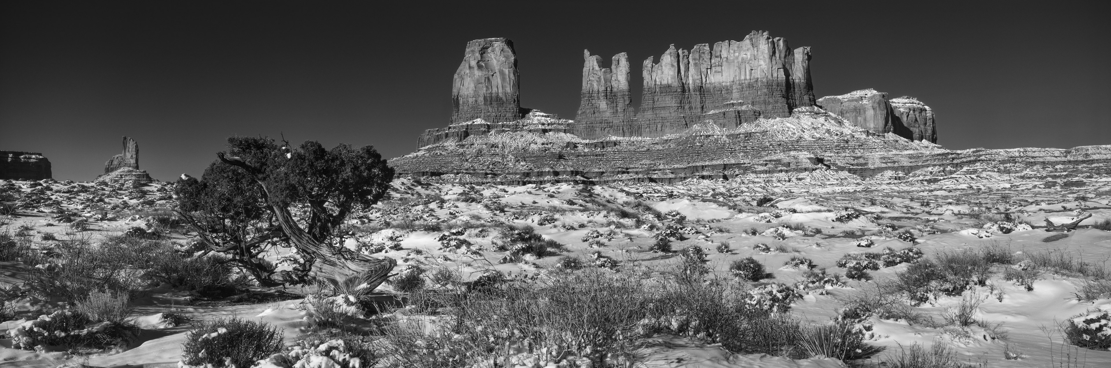 Monument Valley Navajo Tribal Park, Utah (43592-alt-3T)