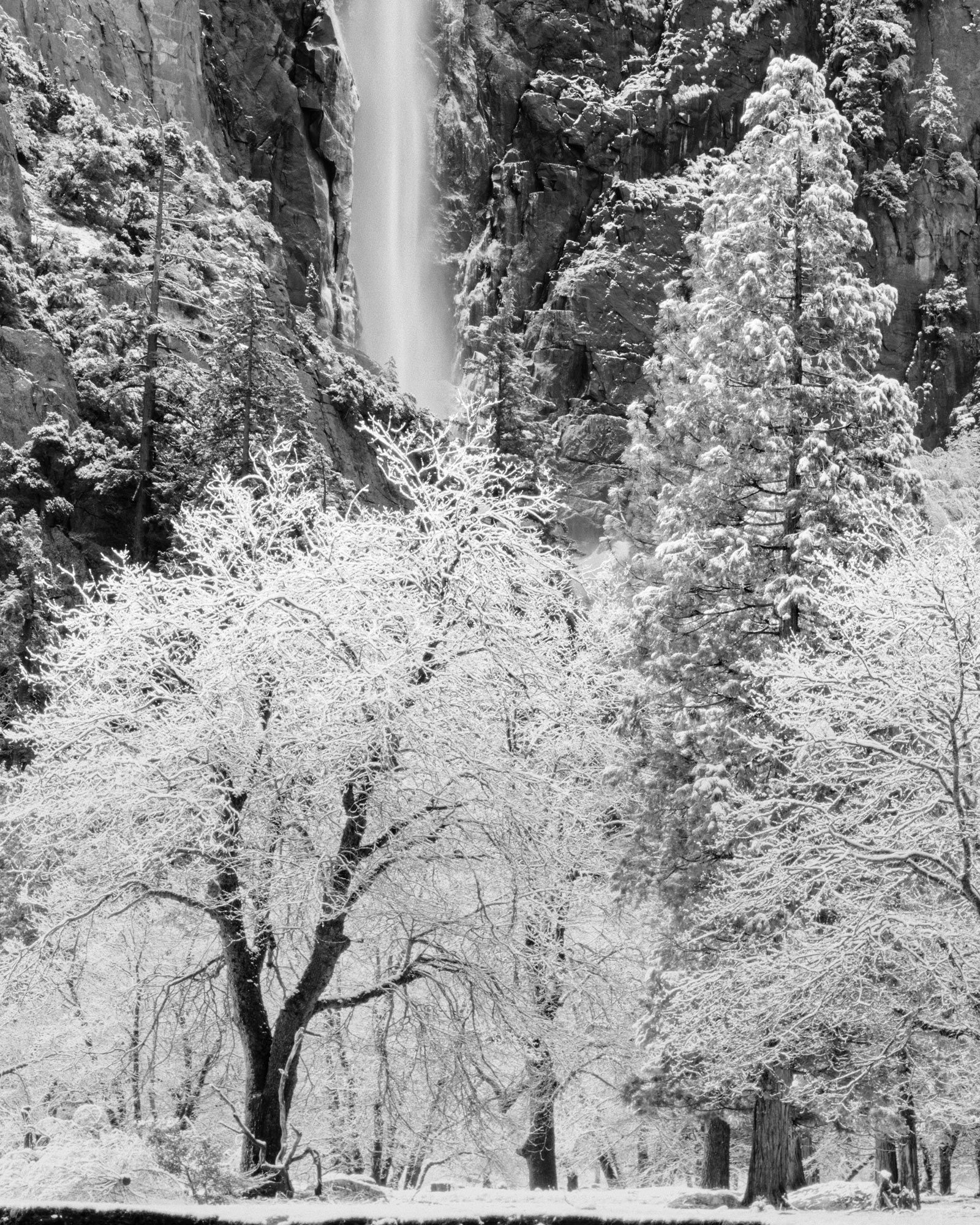 Bridalveil Falls, Yosemite National Park. California, USA (48260_45)